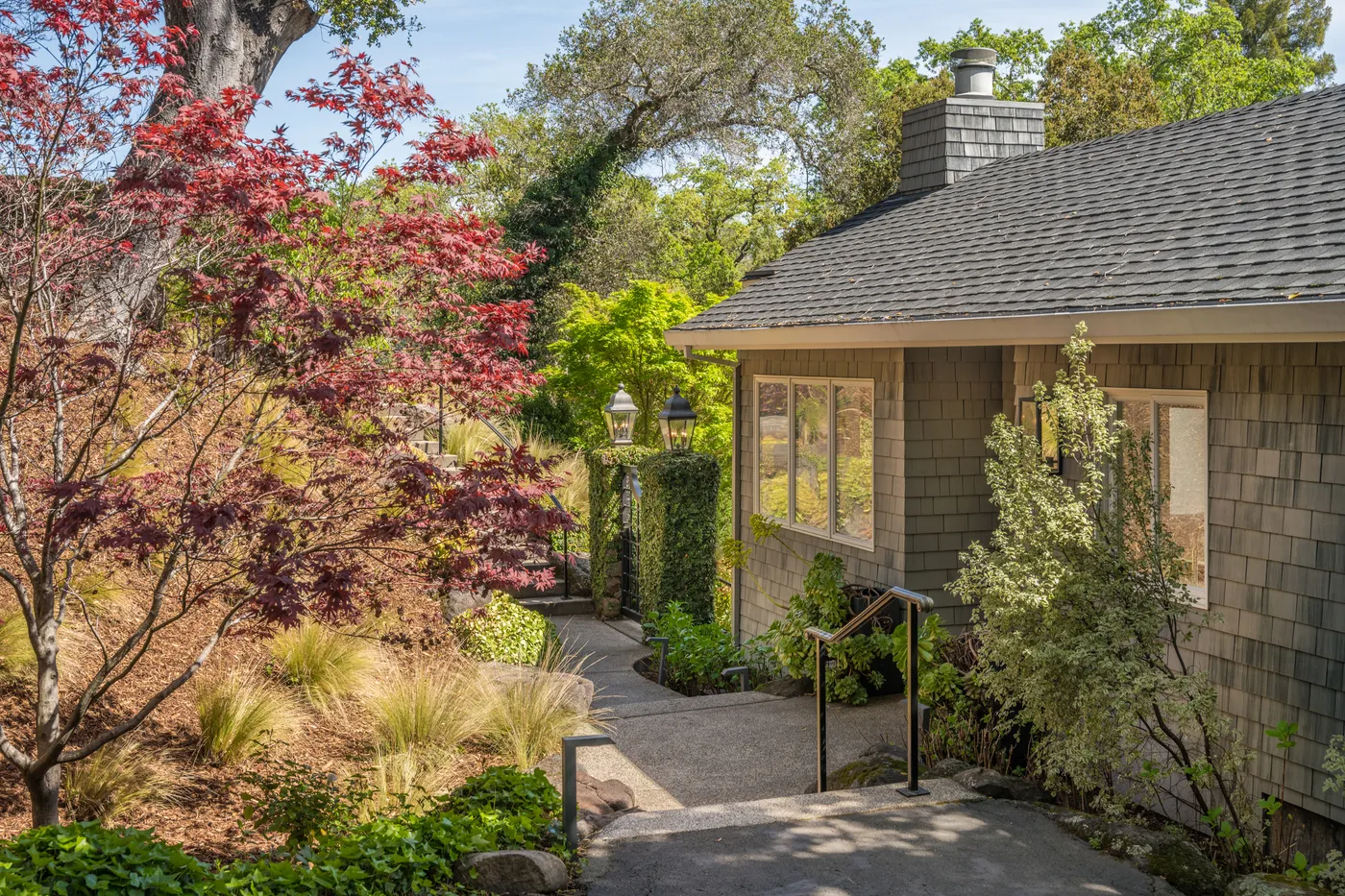 Garden path through Japanese maples to the shingled pool house