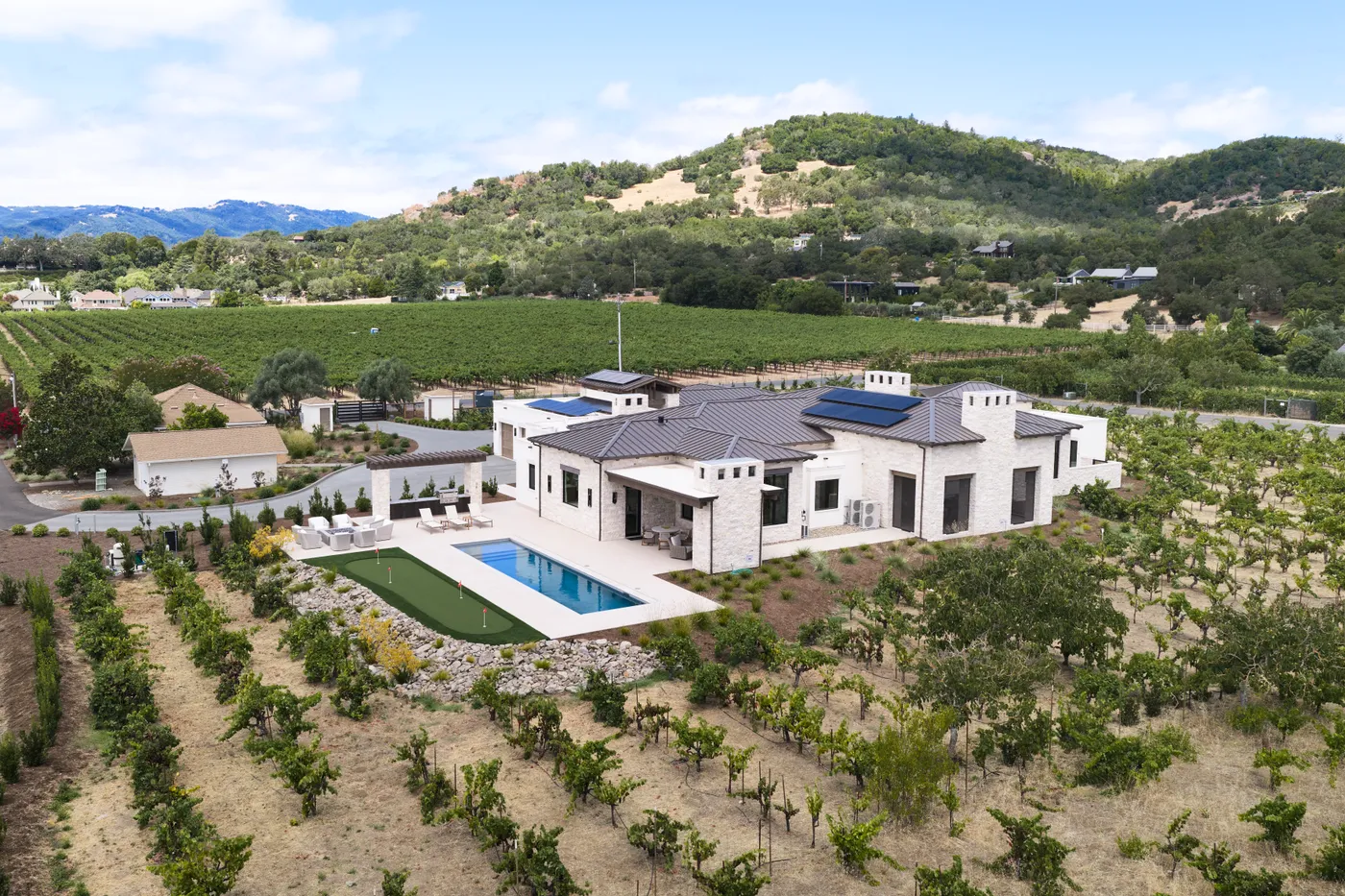 Aerial view from the hillside, the house and pool ringed by young vines